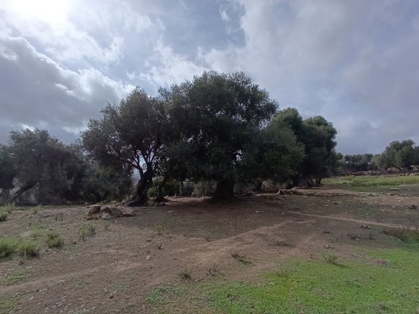 Ruines de Moutchou (8/14)