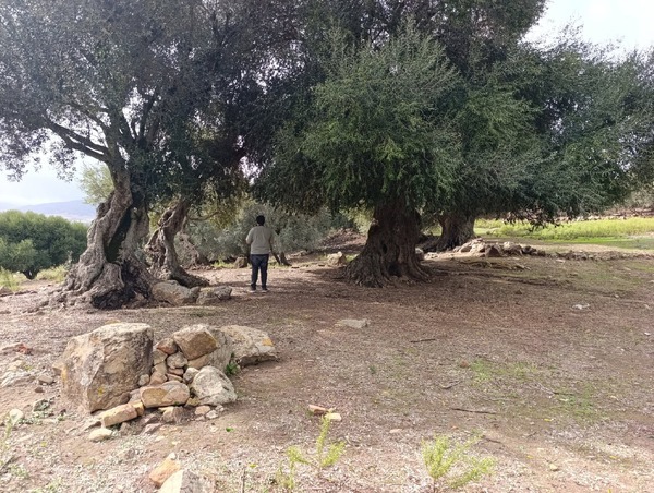 Ruines de Moutchou (3/14)