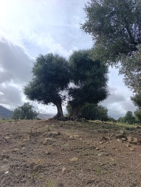 Ruines de Moutchou (12/14)