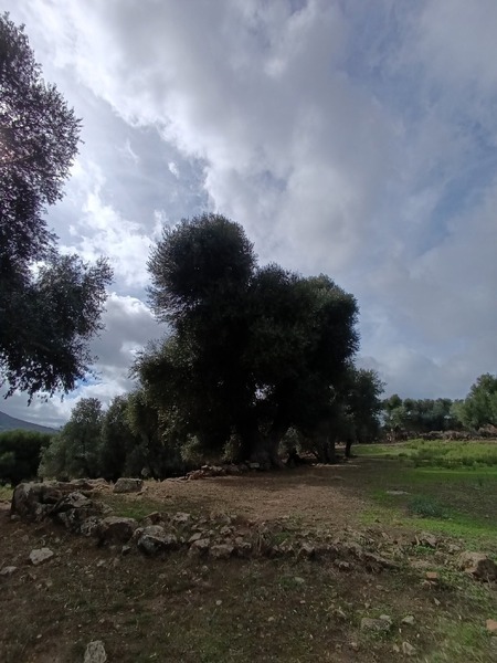 Ruines de Moutchou (7/14)