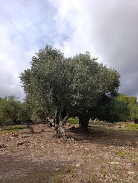Ruines de Moutchou (14/14)